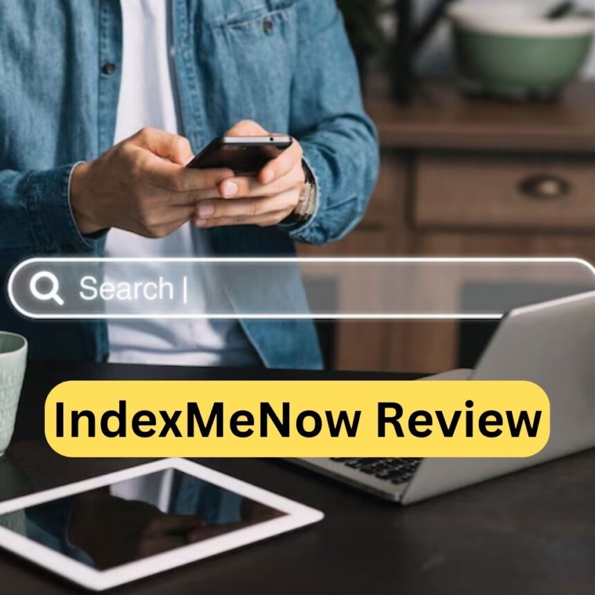 IndexMeNow Review